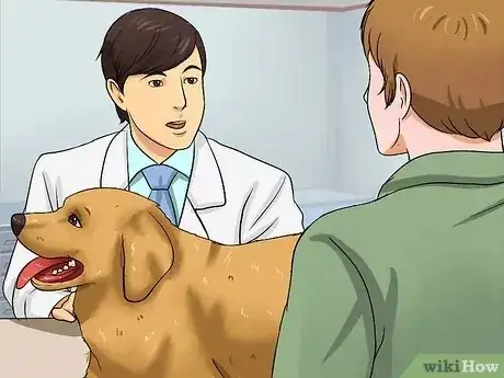 Gambar berjudul Help Your Dog Lose Weight Step 4