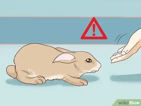 Gambar berjudul Pet a Rabbit Step 5
