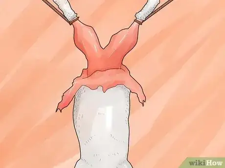 Gambar berjudul Skin a Rabbit Step 5