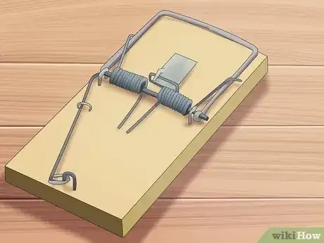 Gambar berjudul Trap Rats Step 2