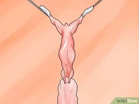 Gambar berjudul Skin a Rabbit Step 7