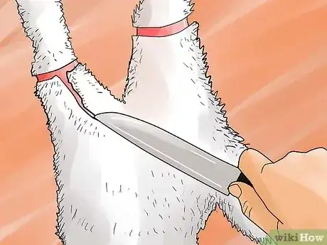 Gambar berjudul Skin a Rabbit Step 2