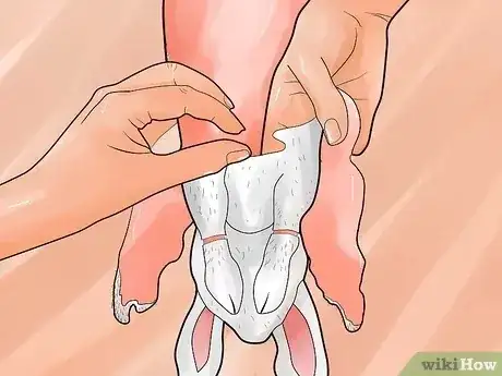 Gambar berjudul Skin a Rabbit Step 6