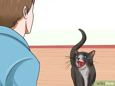 Gambar berjudul Know if a Cat Is Stressed Step 9