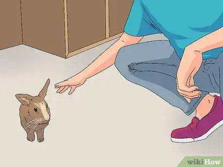 Gambar berjudul Care for a Rabbit Step 13