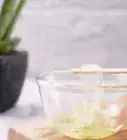 Membuat Gel Lidah Buaya