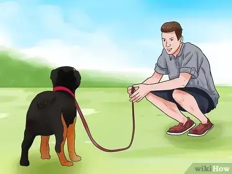 Gambar berjudul Train a Rottweiler Step 17