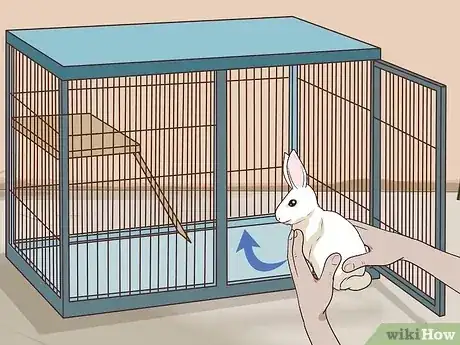 Gambar berjudul Pet a Rabbit Step 10