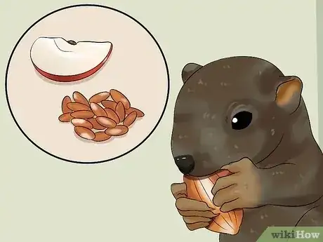 Gambar berjudul Raise a Baby Squirrel Step 20