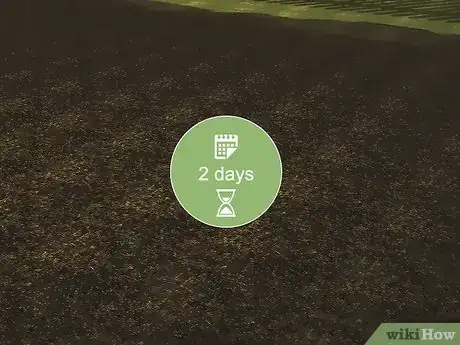 Imagem intitulada Level Ground Step 9