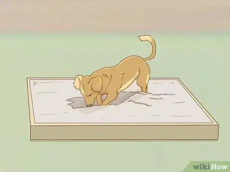 Imagem intitulada Stop a Dog from Digging Step 7