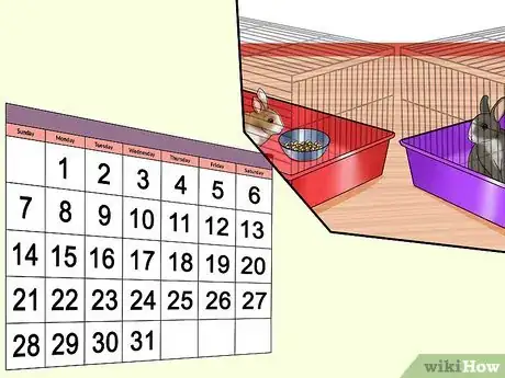 Imagem intitulada Introduce Rabbits Step 5