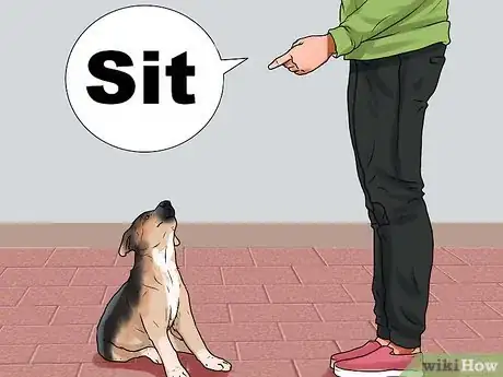 Imagem intitulada Train a German Shepherd Step 3