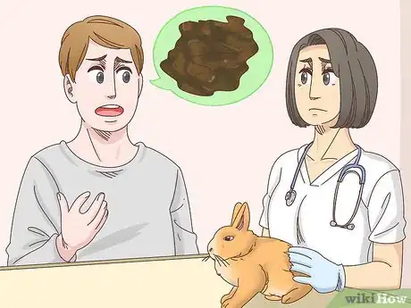 Imagem intitulada Treat Diarrhea in Rabbits Step 2