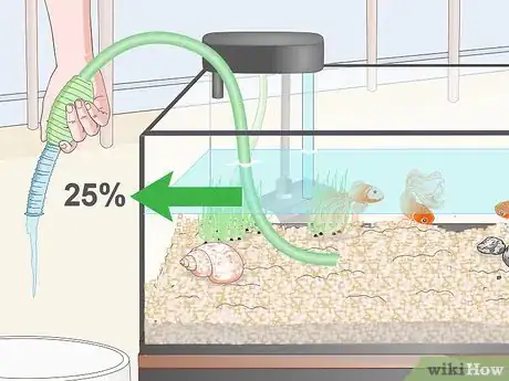 Imagem intitulada Clean Fish Tank Rocks Step 11