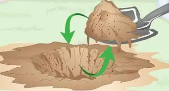 Acabar com um Formigueiro