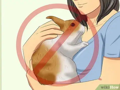 Imagem intitulada Care for a House Rabbit Step 3
