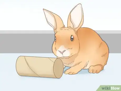 Imagem intitulada Set up a Rabbit Cage Step 15