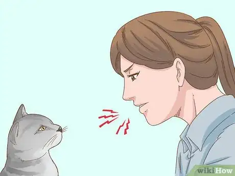 Imagem intitulada Communicate with Your Cat Step 7