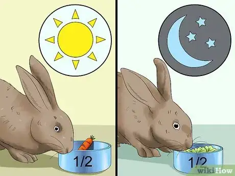Imagem intitulada Feed a House Rabbit Step 8