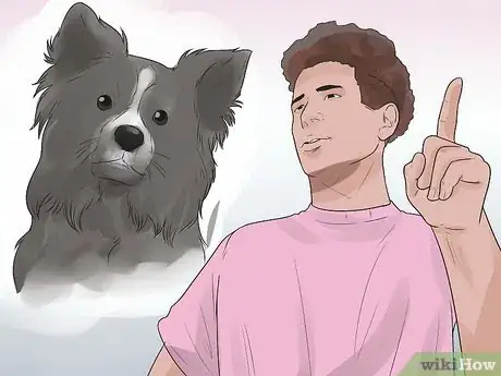 Imagem intitulada Train Border Collies Step 3