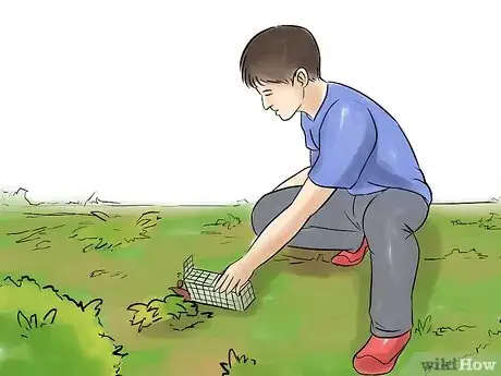 Imagem intitulada Set a Mousetrap Step 8