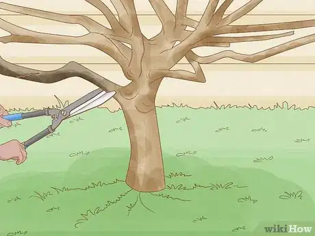 Imagem intitulada Prune a Lemon Tree Step 3