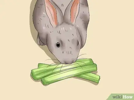 Imagem intitulada Feed a House Rabbit Step 3