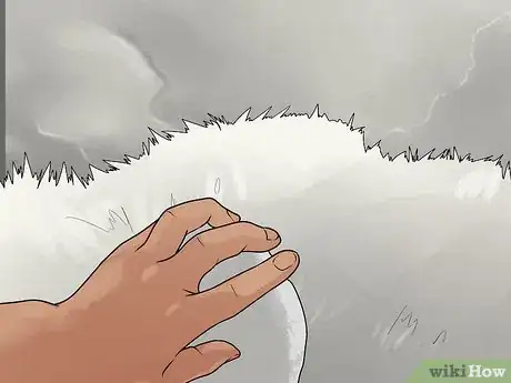 Imagem intitulada Clean Fur Step 9