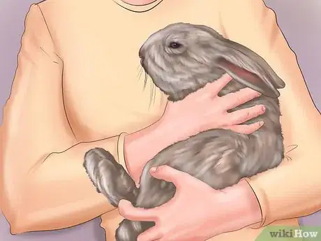 Imagem intitulada Make Your Rabbit Like You Step 8