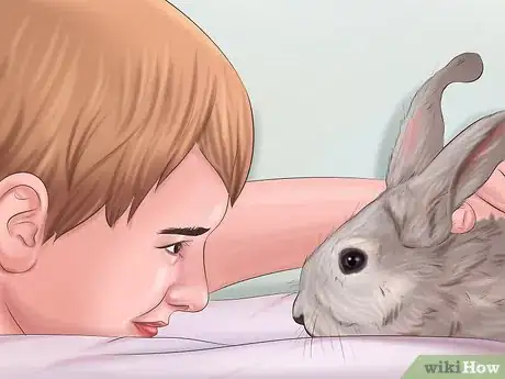 Imagem intitulada Make Your Rabbit Like You Step 9