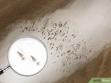 Imagem intitulada Attract Rats Step 6
