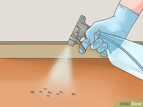 Imagem intitulada Clean Rat Droppings Step 4
