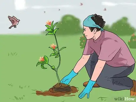 Imagem intitulada Help Endangered Animals Step 1