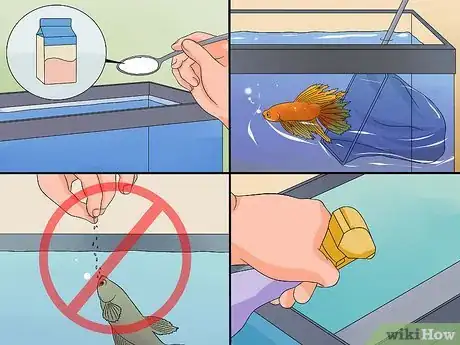 Imagem intitulada Save a Dying Betta Fish Step 2