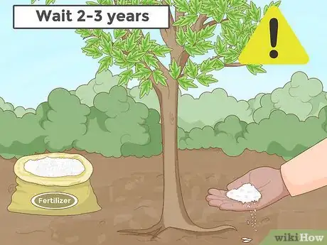 Imagem intitulada Replant a Tree Step 17