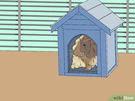 Imagem intitulada Care for a Rabbit Step 6