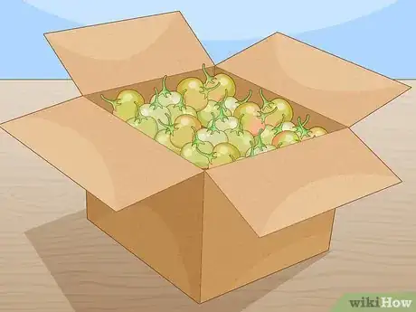 Imagem intitulada Ripen Green Tomatoes Step 7