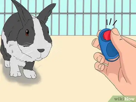 Imagem intitulada Train a Rabbit Step 10