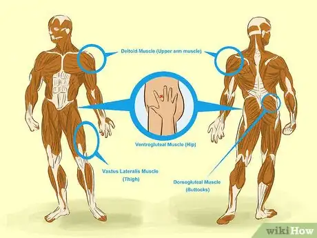 Imagem intitulada Give an Intramuscular Injection Step 11