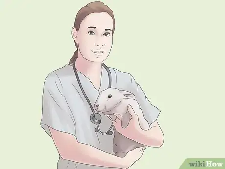 Imagem intitulada Stop a Rabbit from Smelling Step 5