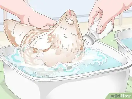 Imagem intitulada Bathe a Chicken Step 9
