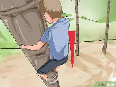 Imagem intitulada Climb a Coconut Tree Step 10