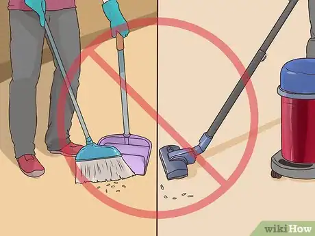 Imagem intitulada Clean Rat Droppings Step 2