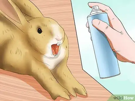 Imagem intitulada Introduce Rabbits Step 10