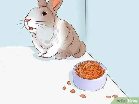 Imagem intitulada Deal with a Sick Rabbit Step 2