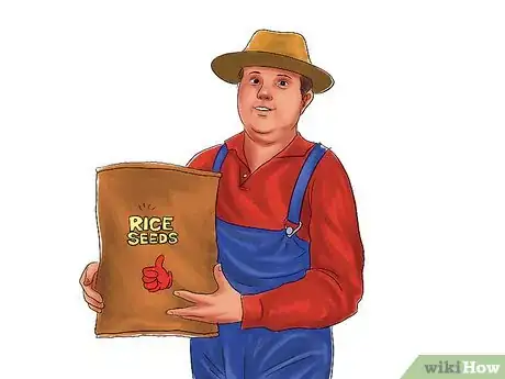 Imagem intitulada Grow Rice Step 1