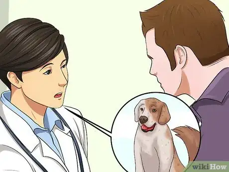 Imagem intitulada Introduce a Dog and a Rabbit Step 3