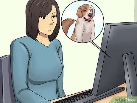 Imagem intitulada Introduce a Dog and a Rabbit Step 1
