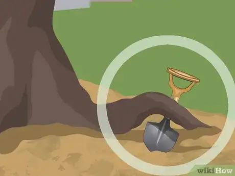 Imagem intitulada Dig up Tree Roots Step 7